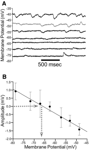 FIG. 7.