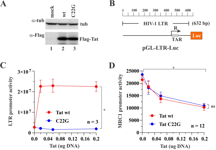 FIG 6