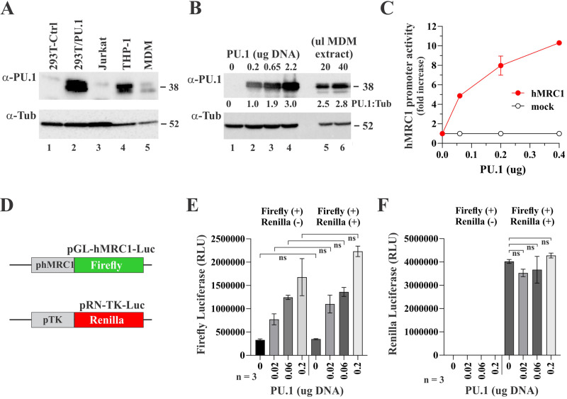 FIG 4