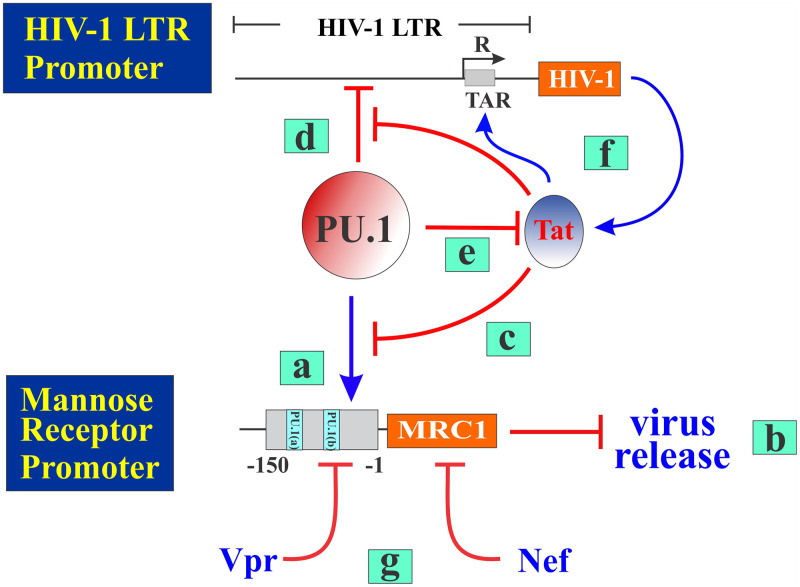 FIG 11