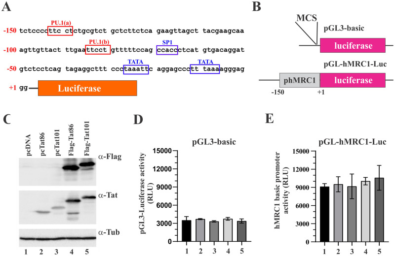 FIG 3