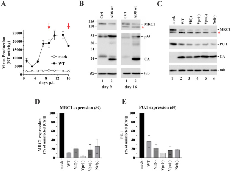 FIG 1