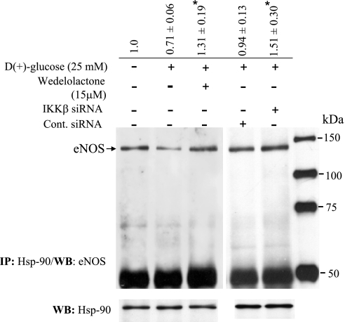 Fig. 11.