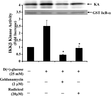 Fig. 10.