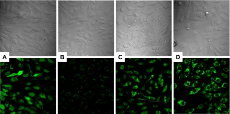 Fig. 12.