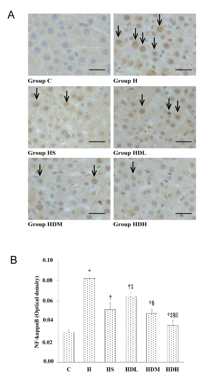 Fig. 5.