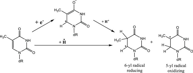 Scheme 3