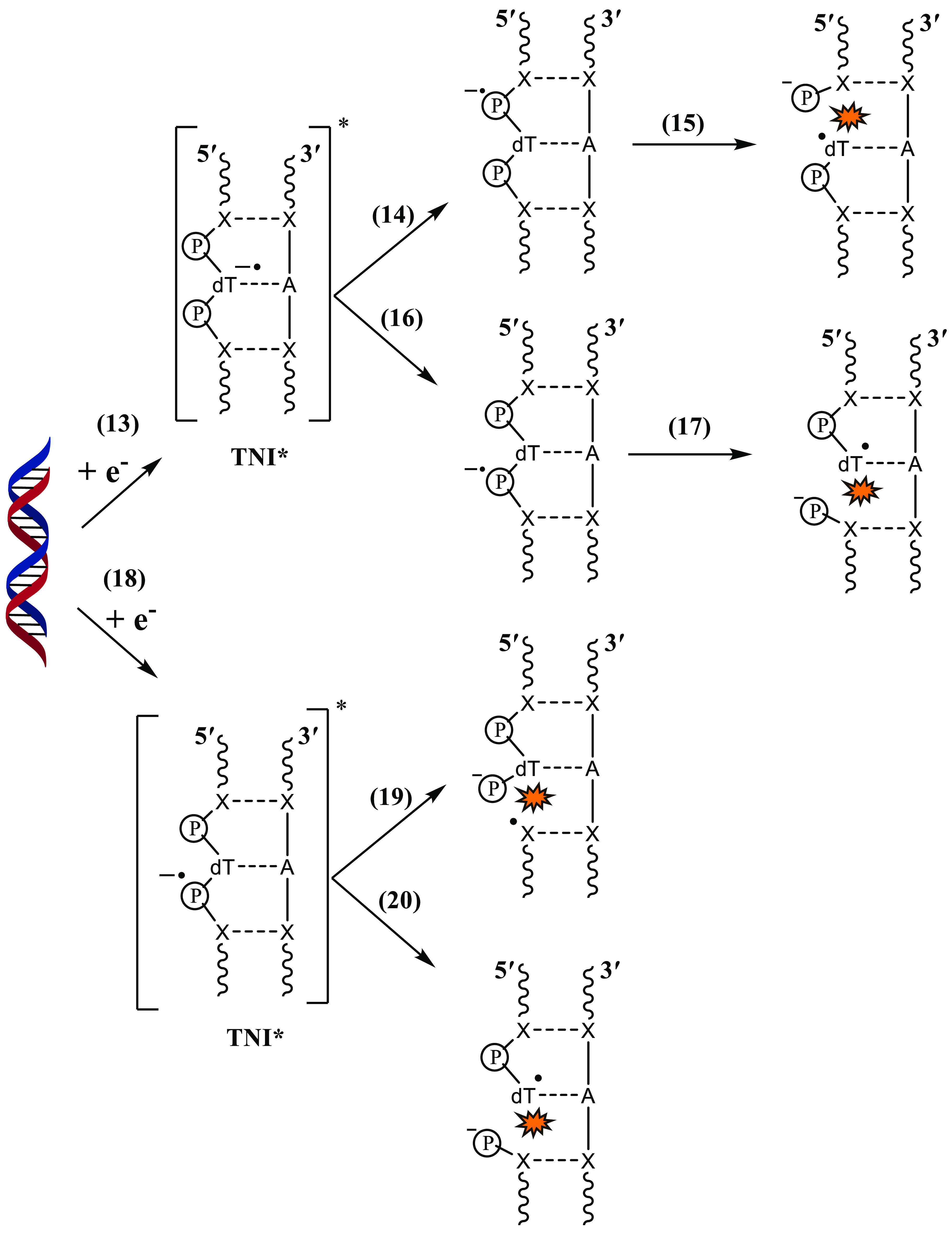 Scheme 6