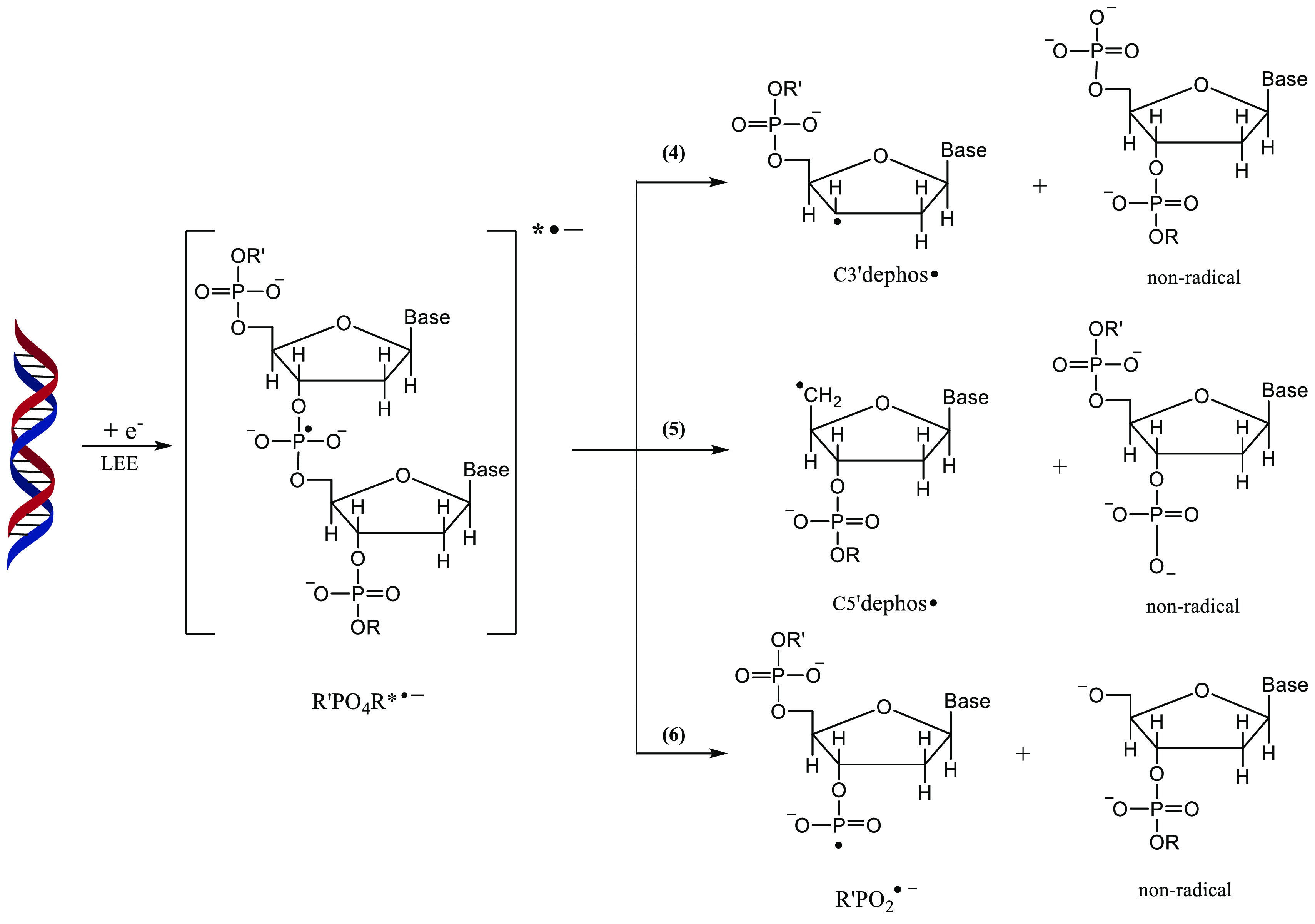 Scheme 4