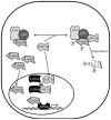 Fig. 5