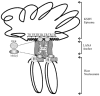 Fig. 8