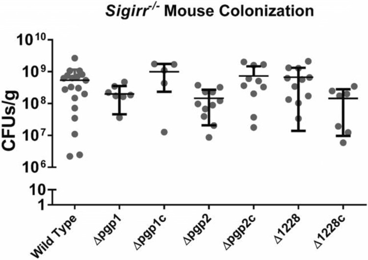 FIG 3