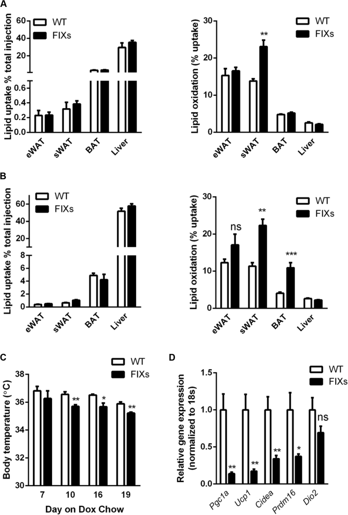 Figure 6