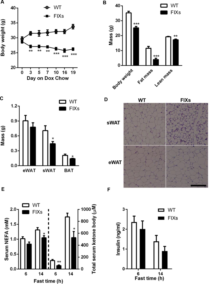 Figure 4