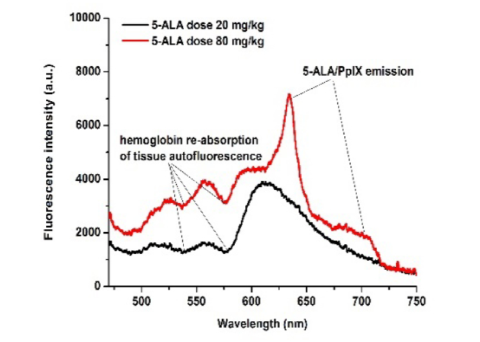 Fig. 2