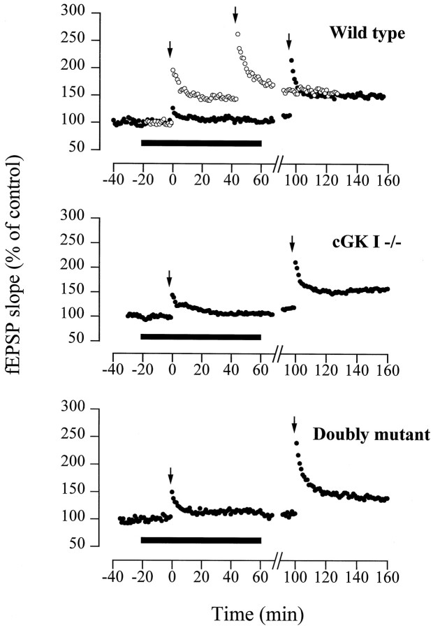 Fig. 9.