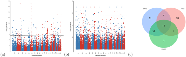 Figure 5: