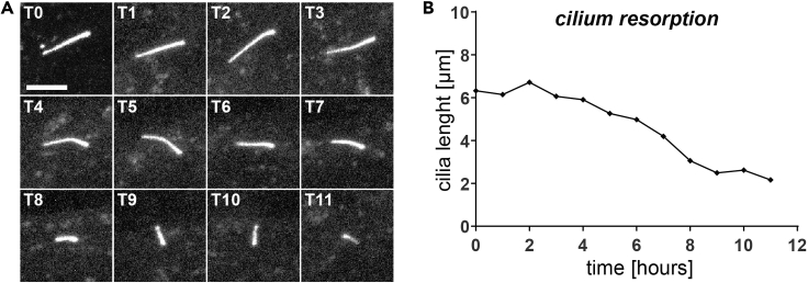 Figure 16