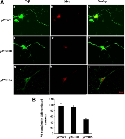 Figure 12.