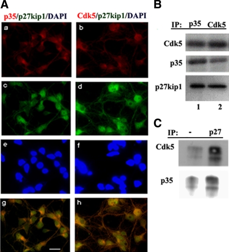 Figure 6.