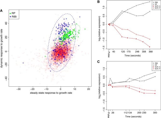 FIGURE 5: