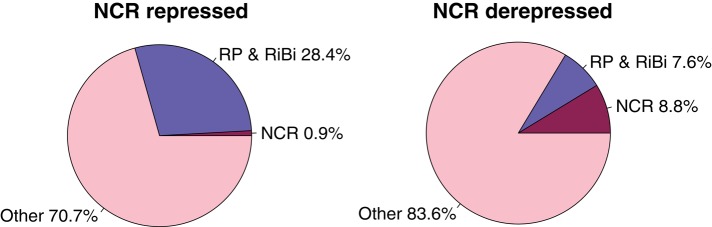 FIGURE 7: