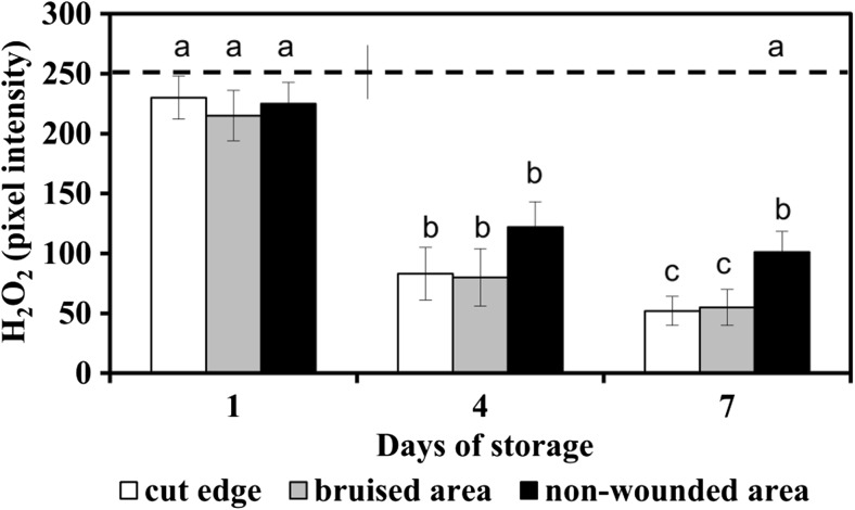 Fig. 7