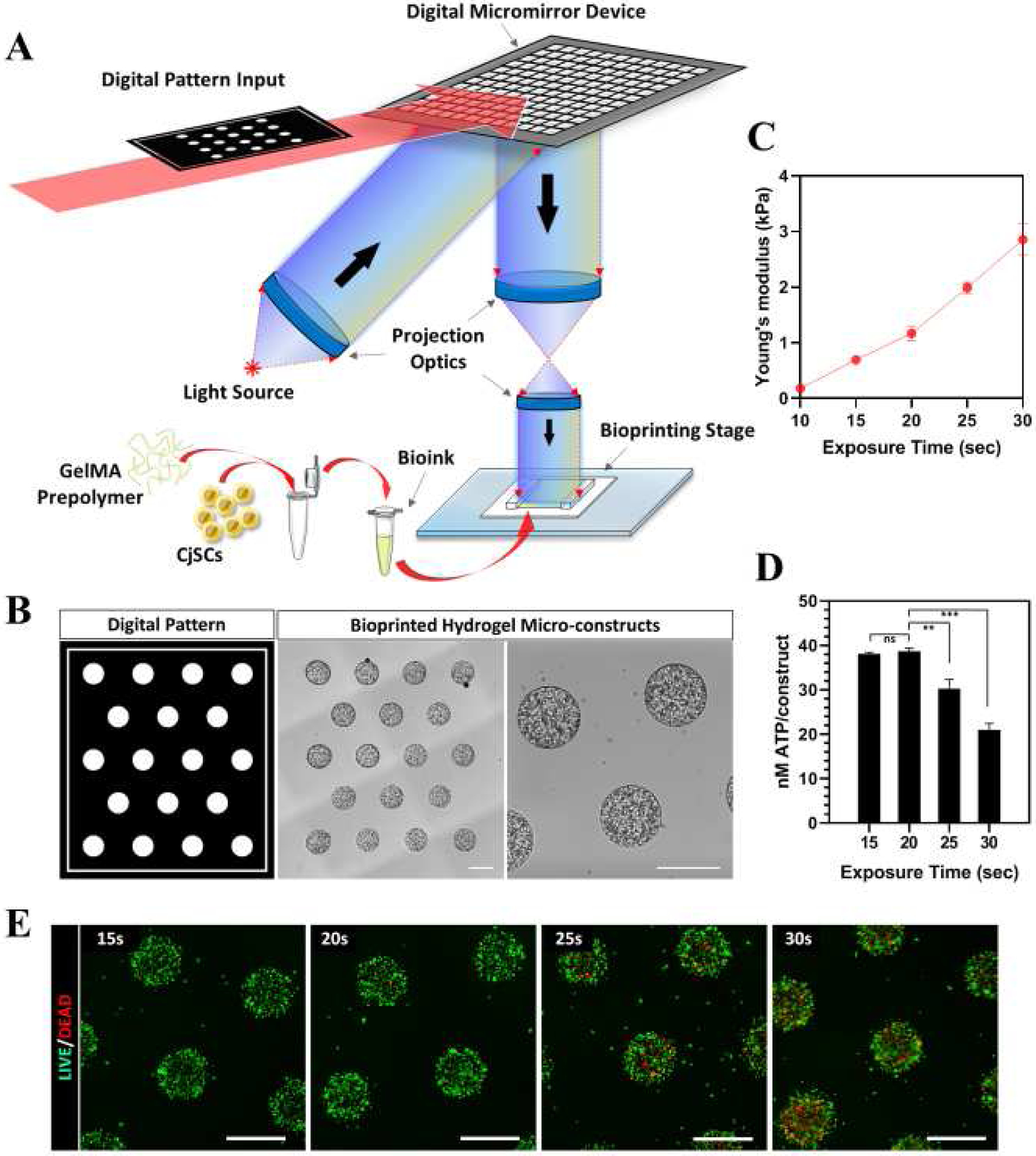 Figure 2.