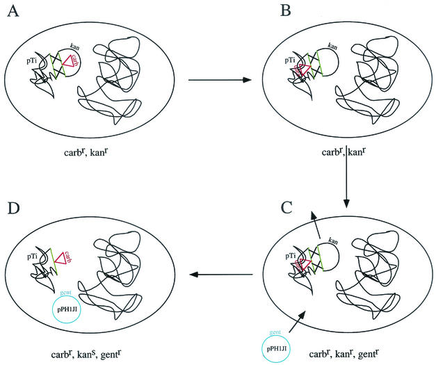 FIG. 2.