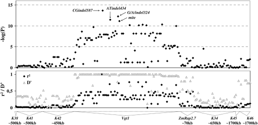 Figure 1.—