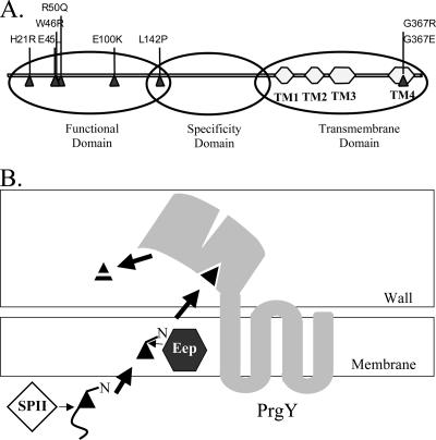 FIG. 8.