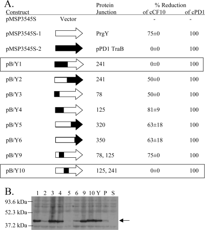 FIG. 6.