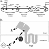 FIG. 8.