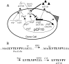 FIG. 1.