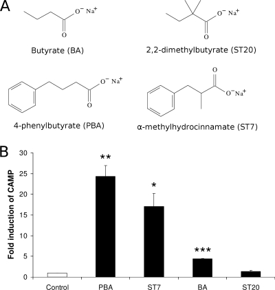 FIG. 8.