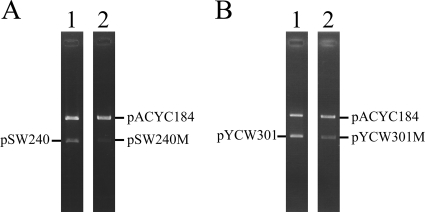 FIG. 4.