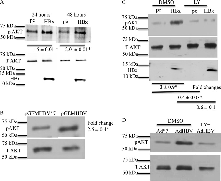 FIG 1