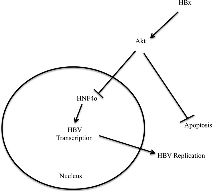 FIG 6