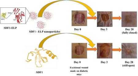 graphic file with name nihms-785628-f0001.jpg