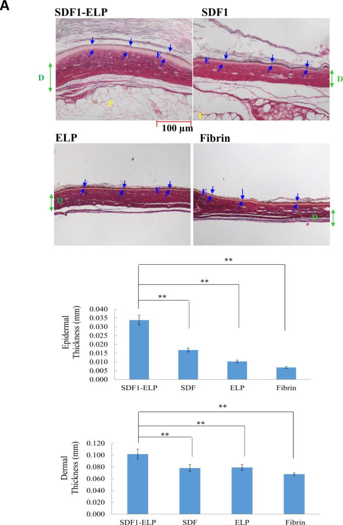 Fig. 11