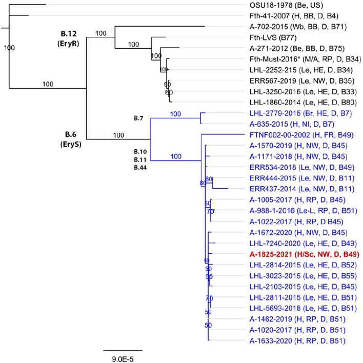 Fig. 2