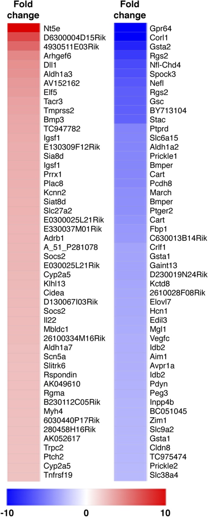 Fig. S8.