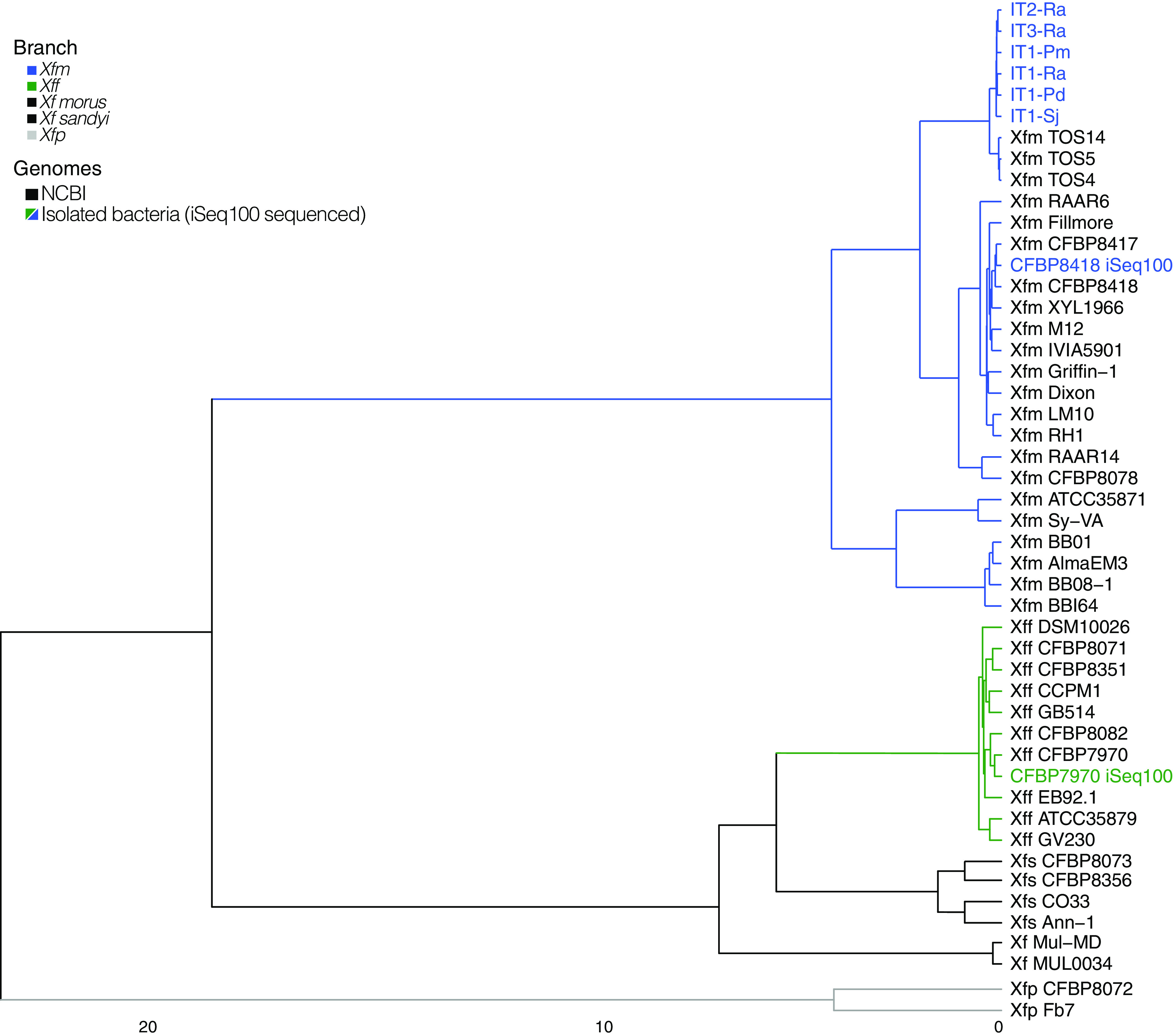 FIG 2