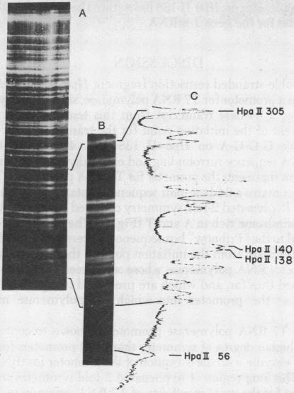 graphic file with name pnas00032-0163-a.jpg