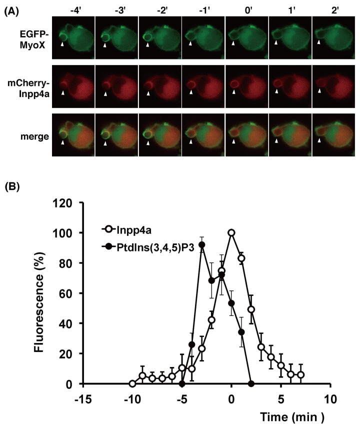 Fig 5