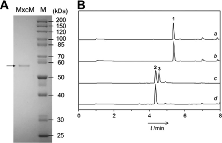 FIG 3