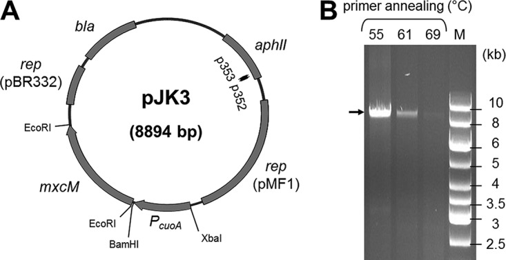 FIG 4