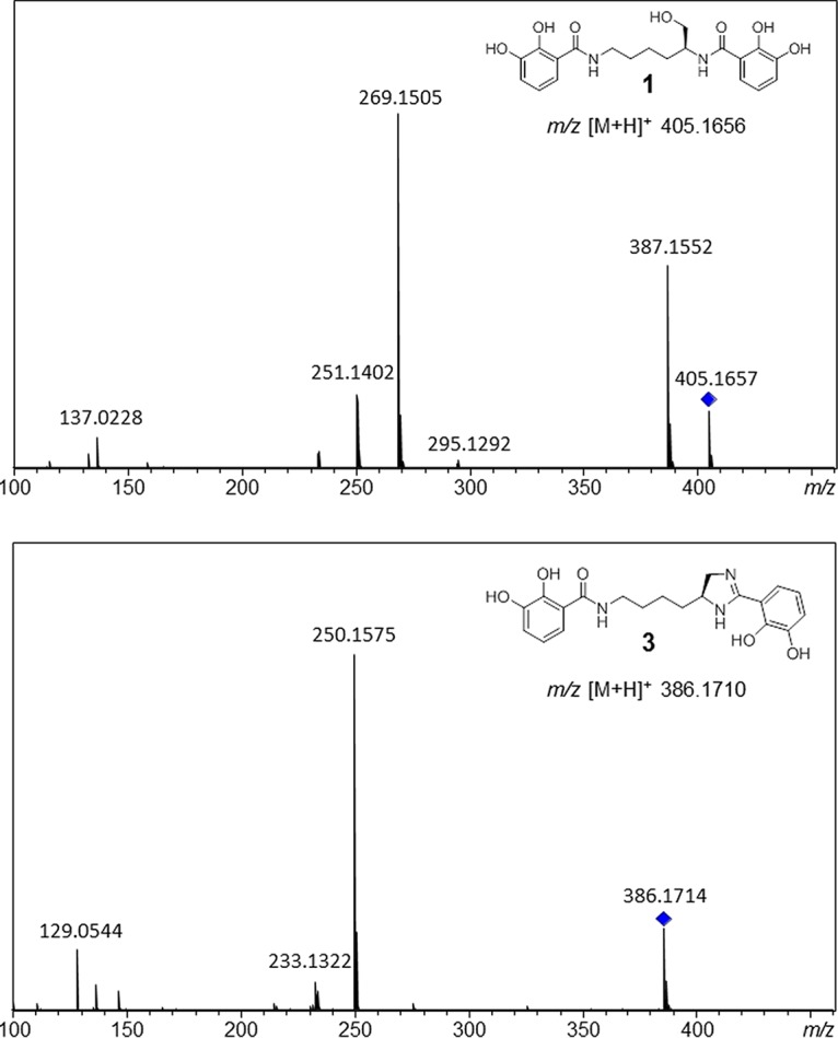 FIG 5