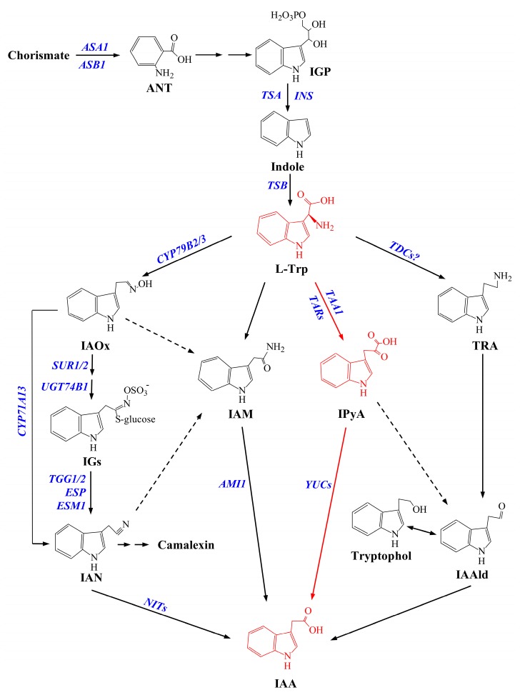 Figure 1