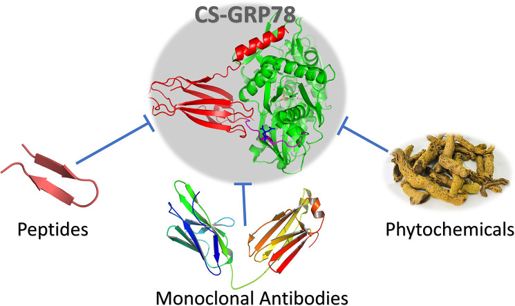 Unlabelled Image